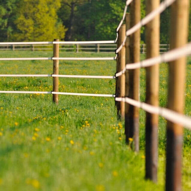 teaser pferdewelt weidezaun